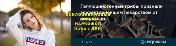 прущая мука Бородино