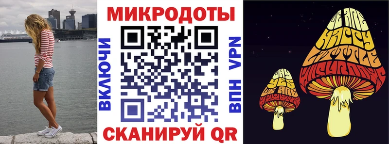 Псилоцибиновые грибы Magic Shrooms  закладки  Нестеров 