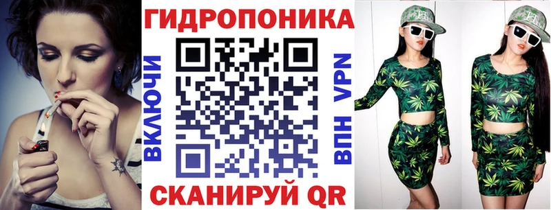 OMG зеркало  Нестеров  Бошки марихуана MAZAR  где продают наркотики 